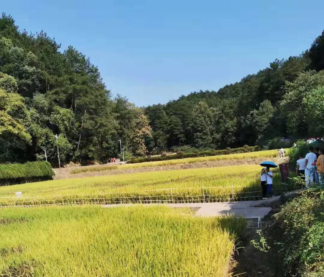 电将军人赴韶山毛泽东故居